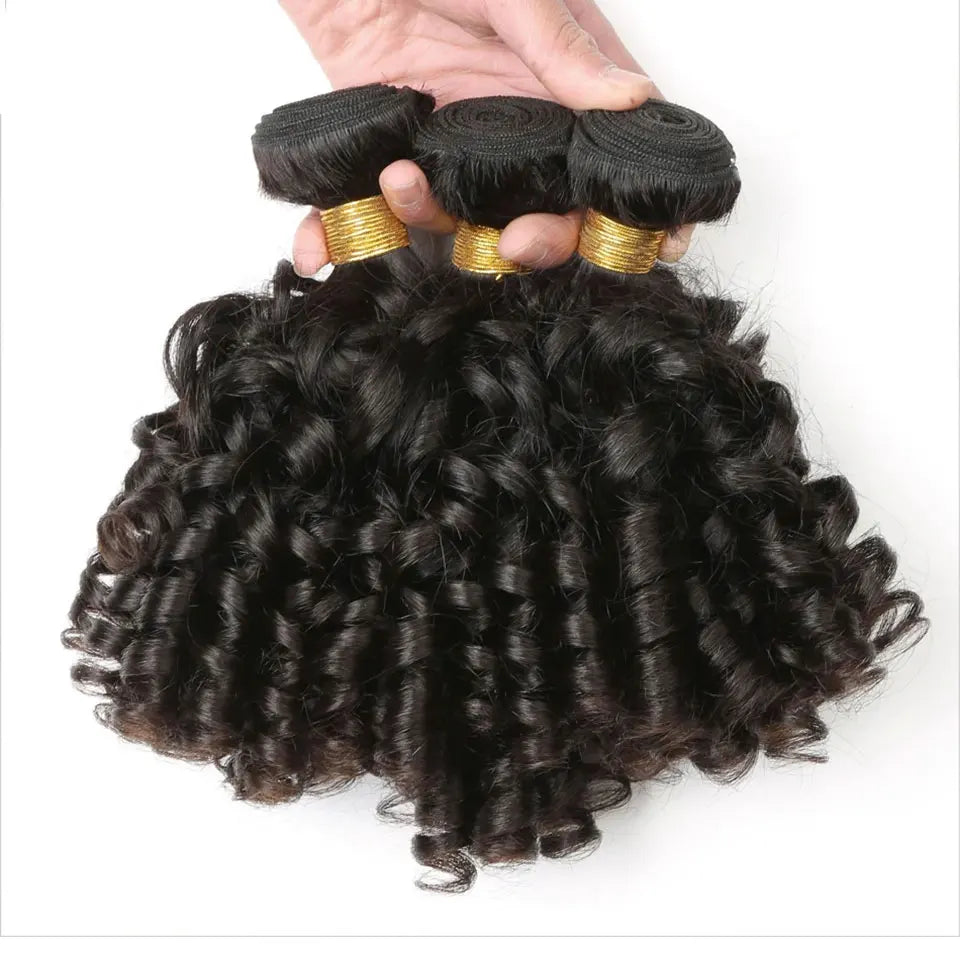 Baierte Brazilian Funmi Bouncy Curly Human Hair Weave Bundle Machine Double Weft Virgin Funmi Curly Human Hair Bundles For Women